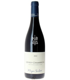 Gevrey Chambertin - 2022 - Morgan et Julie Truchetet