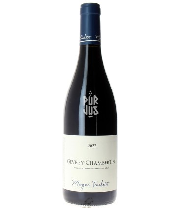 Gevrey Chambertin - 2022 - Morgan et Julie Truchetet