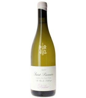 Saint Romain Au Bas de Poillange - 2022 - Pauline Genot