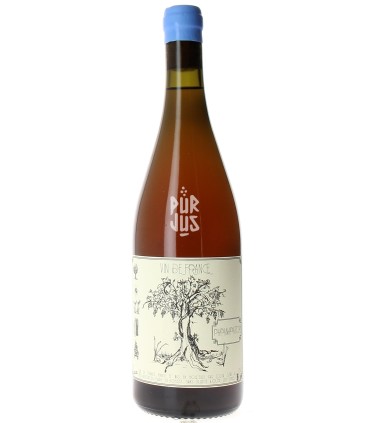 Papanapator - 2023 - Lolita Sene