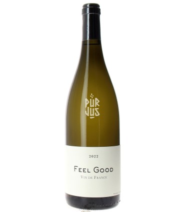 Feel Good - 2022 - Frédéric Cossard