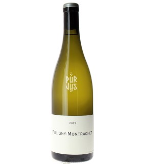 Puligny Montrachet - 2022 - Frédéric Cossard