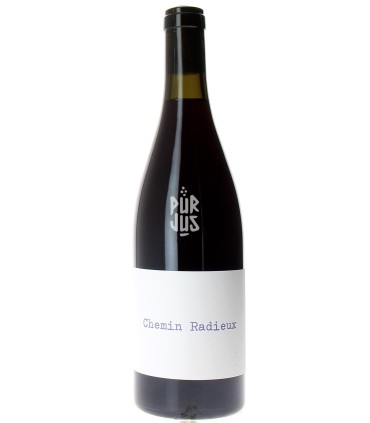 Chemin Radieux  - 2023 - Julien Mary