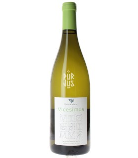 Vicesimus - 2020 - Victor Cossy