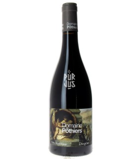 Diogène - 2022 - Romain Paire