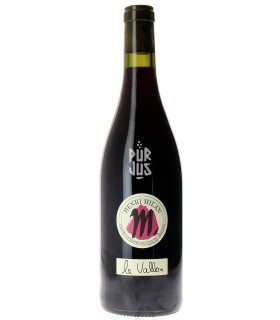 Le Vallon - 2021 - Théophile Milan