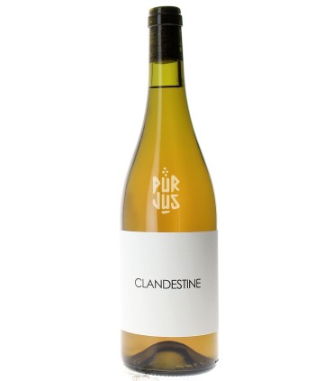 Clandestine Rosé - 2023 - Sébastien Agelet