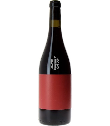 Infra - 2023 - Sébastien Agelet