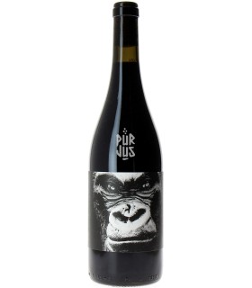 Indomptable - 2023 - Sébastien Agelet