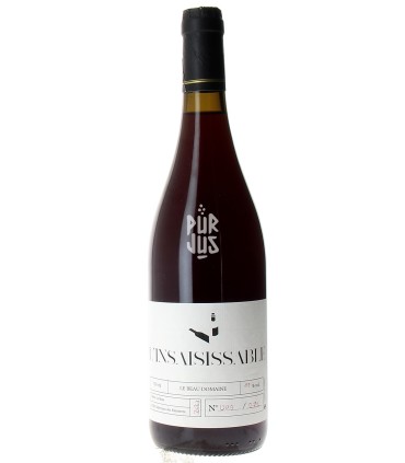 L'insaisissable - 2023 - Olivier Le Beau