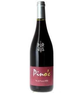 Pino'c - 2022 - Kohki Iwata