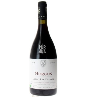 Morgon Climat Les Charmes - 2020 - Julien Guillot