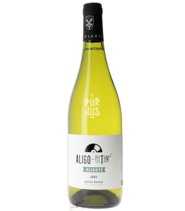 AligoRythm - 2023 - Julien Guillot