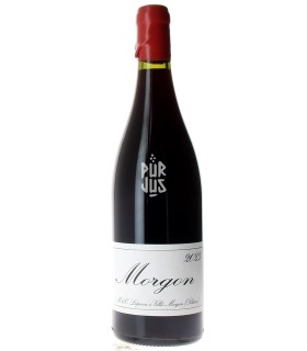 Morgon - 2023 - Mathieu et Camille Lapierre