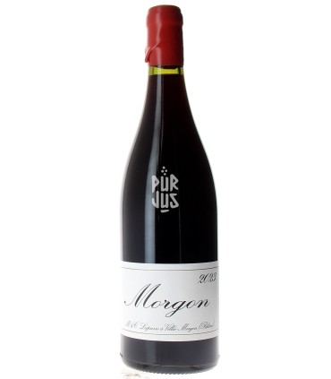 Morgon - 2023 - Mathieu et Camille Lapierre