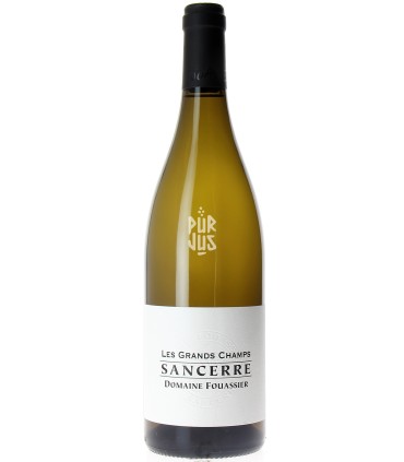 Sancerre "Les Grands Champs" - 2022 - Paul Fouassier