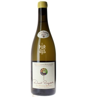 Les Petites Bêtises - 2021 - David Reynaud