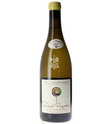 Les Petites Bêtises - 2021 - David Reynaud