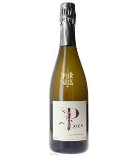 Les Pions - 2022 - Ludovic Chanson