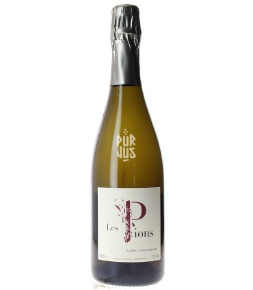 Les Pions - 2022 - Ludovic Chanson