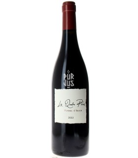 Pineau d'Aunis - 2022 - Valentin Desloges