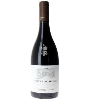 Vosne Romanée - 2022 - Cyprien Arlaud