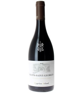 Nuits Saint Georges - 2022 - Cyprien Arlaud
