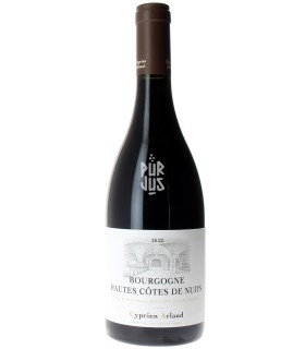 Hautes Côtes de Nuits - 2022 - Cyprien Arlaud