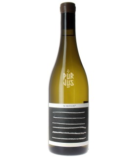 Scritch - 2023 - Cyprien Arlaud