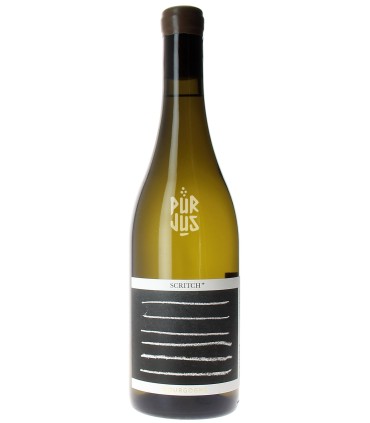 Scritch - 2023 - Cyprien Arlaud