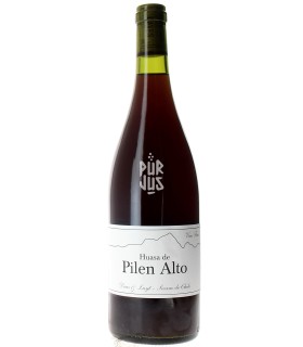 Huasa de Pilen Alto - 2022 - Louis Antoine Luyt