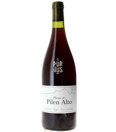 Huasa de Pilen Alto - 2022 - Louis Antoine Luyt