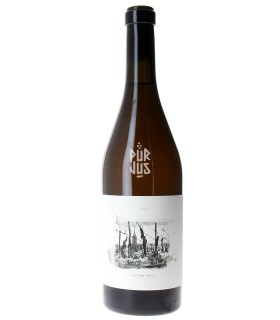 Lumière d'été - 2023 - Jérôme François et Morgane Stoquert