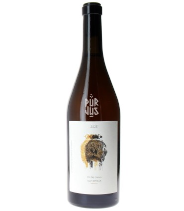 Mille Lieux sur Peaux - 2023 - Jérôme François et Morgane Stoquert