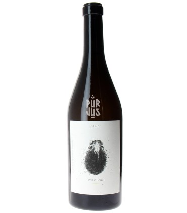 Mille Lieux - 2023 - Jérôme François et Morgane Stoquert