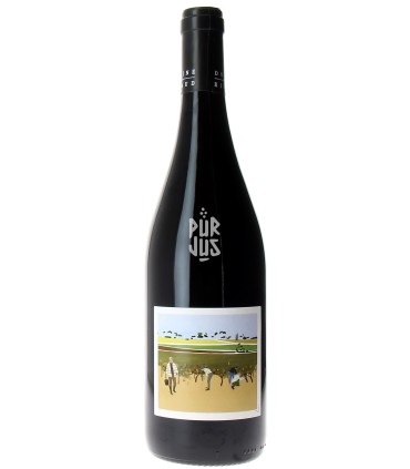 Le Primeur - 2024 - Marcel Richaud