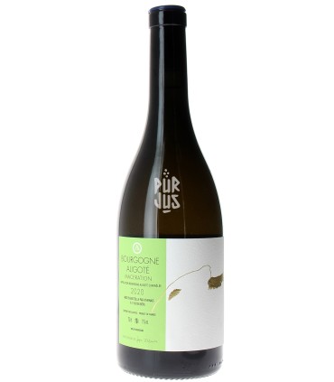 Bourgogne Aligoté Macération - 2020 - Athénaïs De Béru