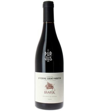 Diapir - 2022 - Thomas Jullien