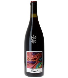 Pinot - 2023 - Jean Claude Lapalu