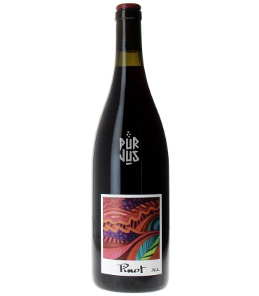 Pinot - 2023 - Jean Claude Lapalu