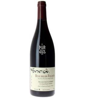 Beaujolais Villages Tentation - 2023 - Jean Claude Lapalu
