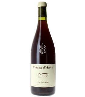 Pineau d'Aunis - 2023 - Thierry Puzelat