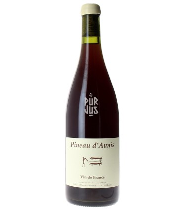 Pineau d'Aunis - 2023 - Thierry Puzelat