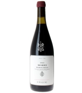 Teroldego Morei - 2022 - Elisabetta Foradori