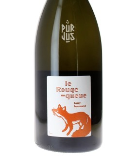 Le Rouge Queue - 2020 - Tony Bornard - Magnum