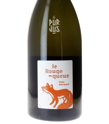 Le Rouge Queue - 2020 - Tony Bornard - Magnum