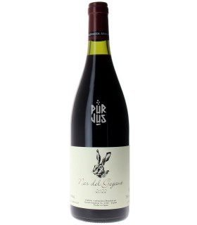 Nas del Gegant - 2022 - Joan Ramon Escoda