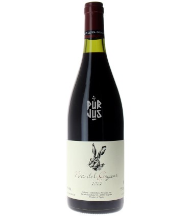 Nas del Gegant - 2022 - Joan Ramon Escoda