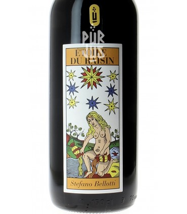 Etoile du Raisin - 2007 - Stefano Bellotti - Magnum