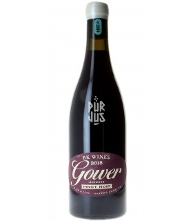 Gower Pinot Noir - 2018 - Brendon Keys